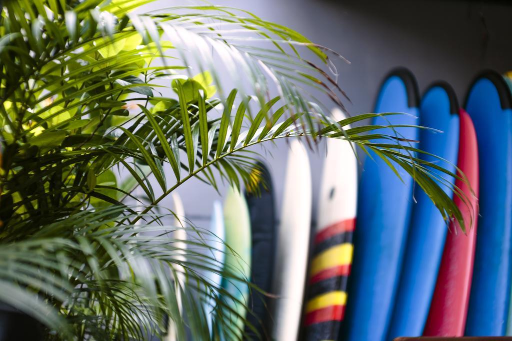 庫塔 Surfers House酒店 外观 照片